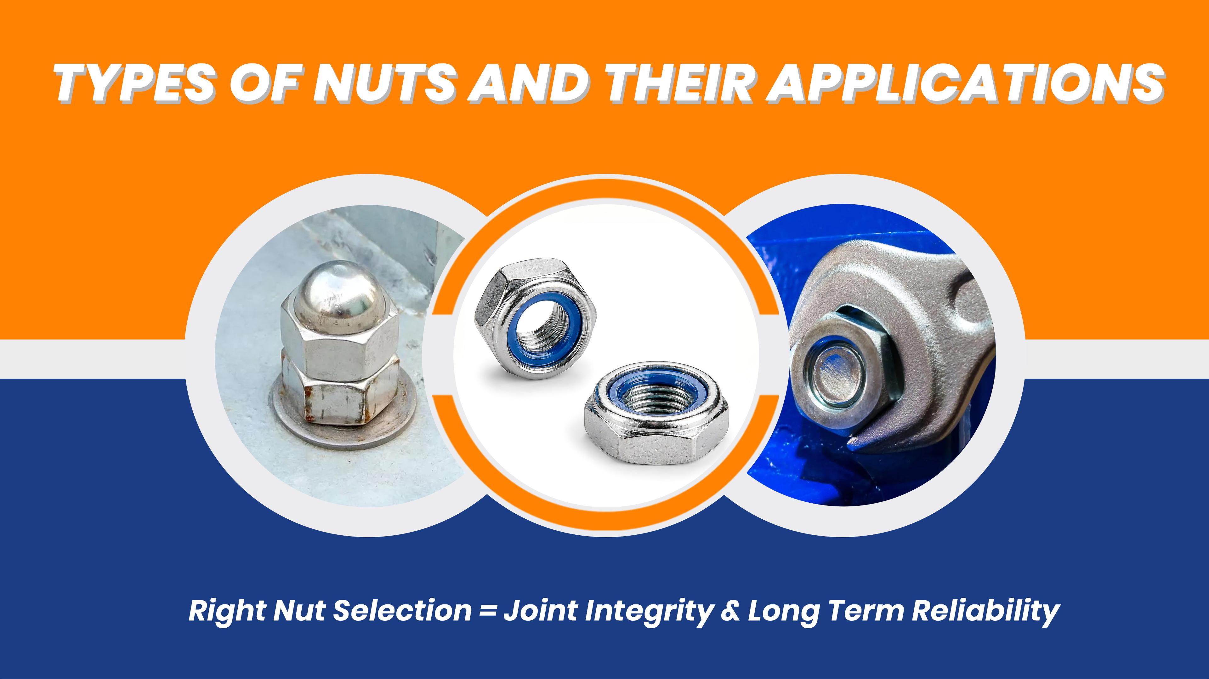 Types of Nuts and Their Applications